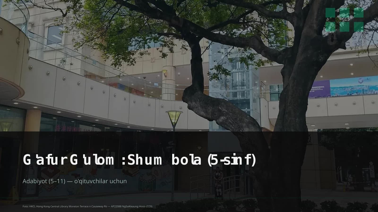 Shum bola (5-sinf)