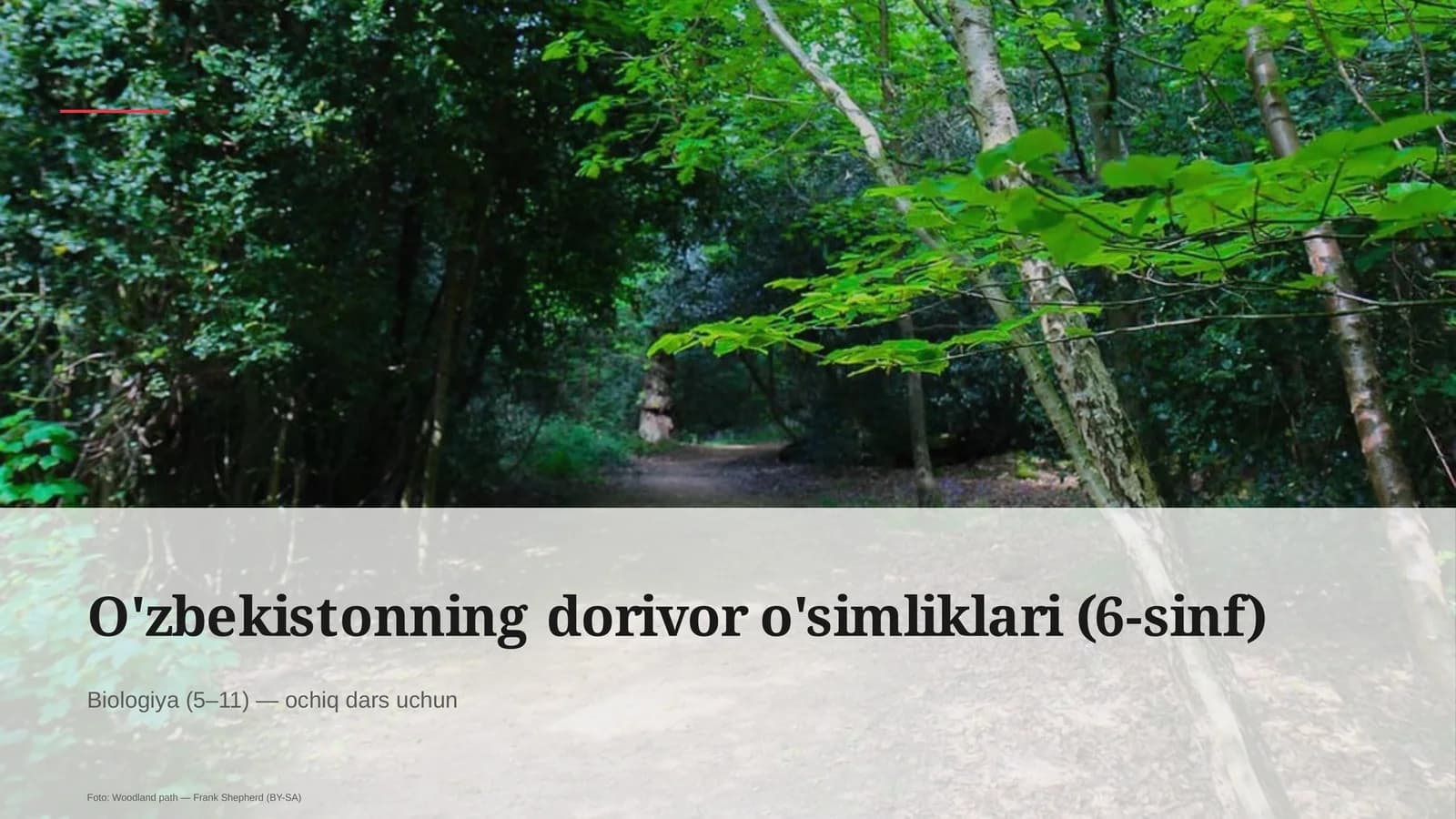 O'zbekistonning dorivor o'simliklari (6-sinf)