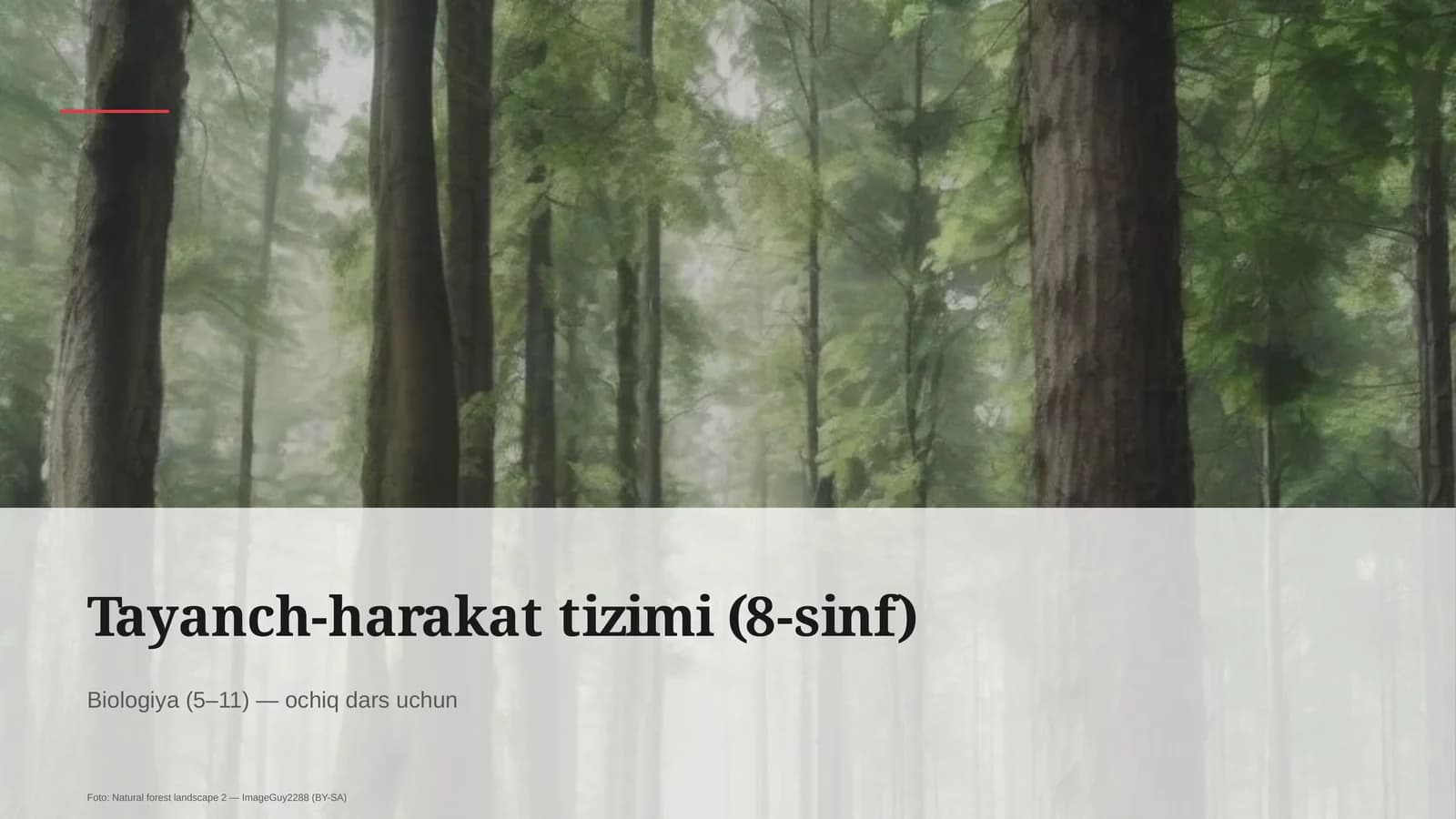 Tayanch-harakat tizimi (8-sinf)