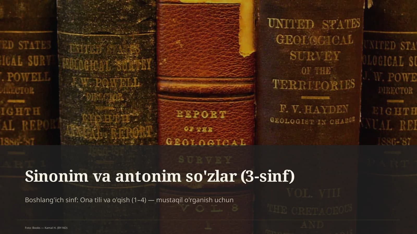 Sinonim va antonim so'zlar (3-sinf)