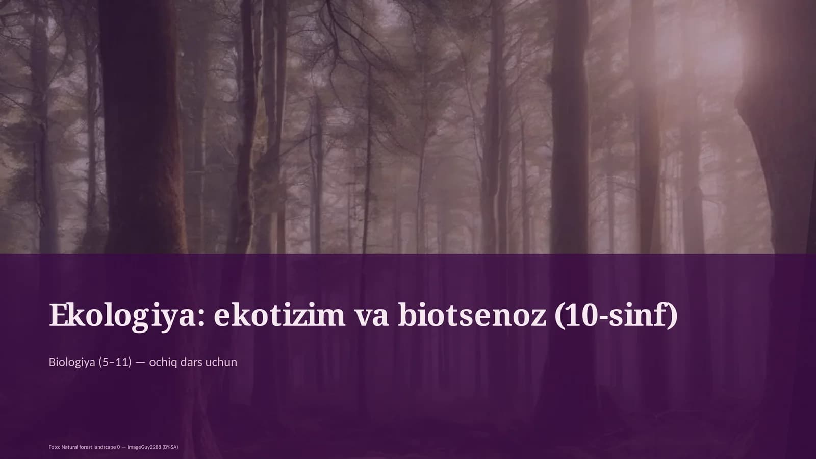 Ekologiya: ekotizim va biotsenoz (10-sinf)