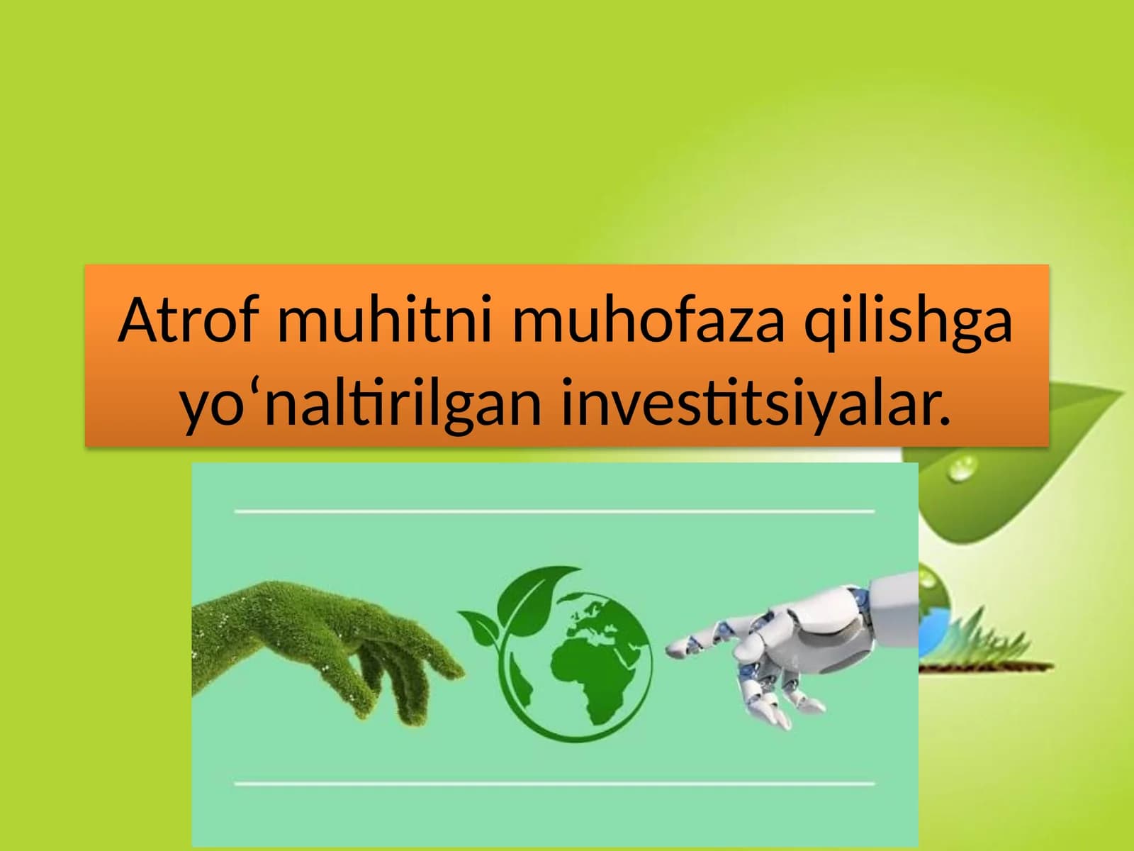 Atrof muhitni muhofaza qilishga yoʻnaltirilgan investitsiyalar