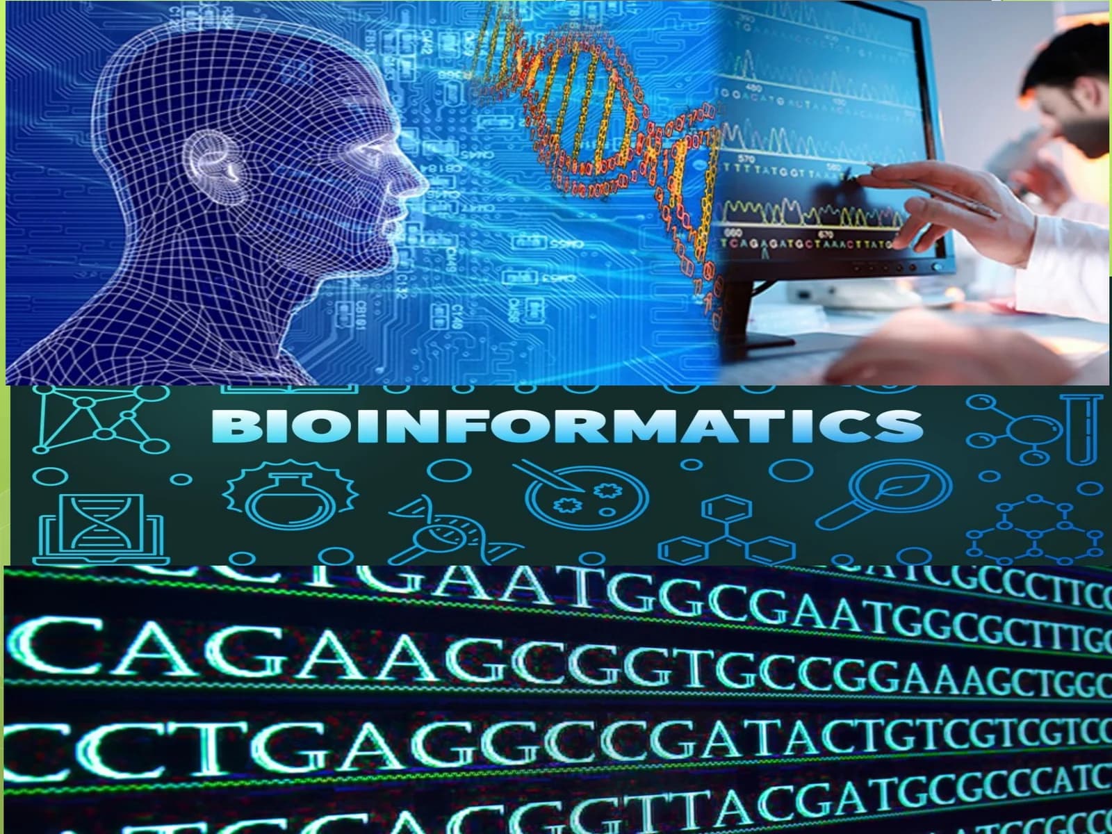 Bioinformatika faniga kirish