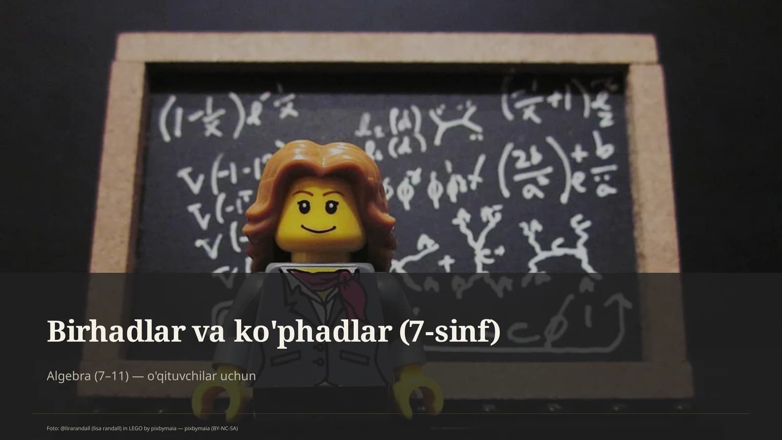 Birhadlar va ko'phadlar (7-sinf)