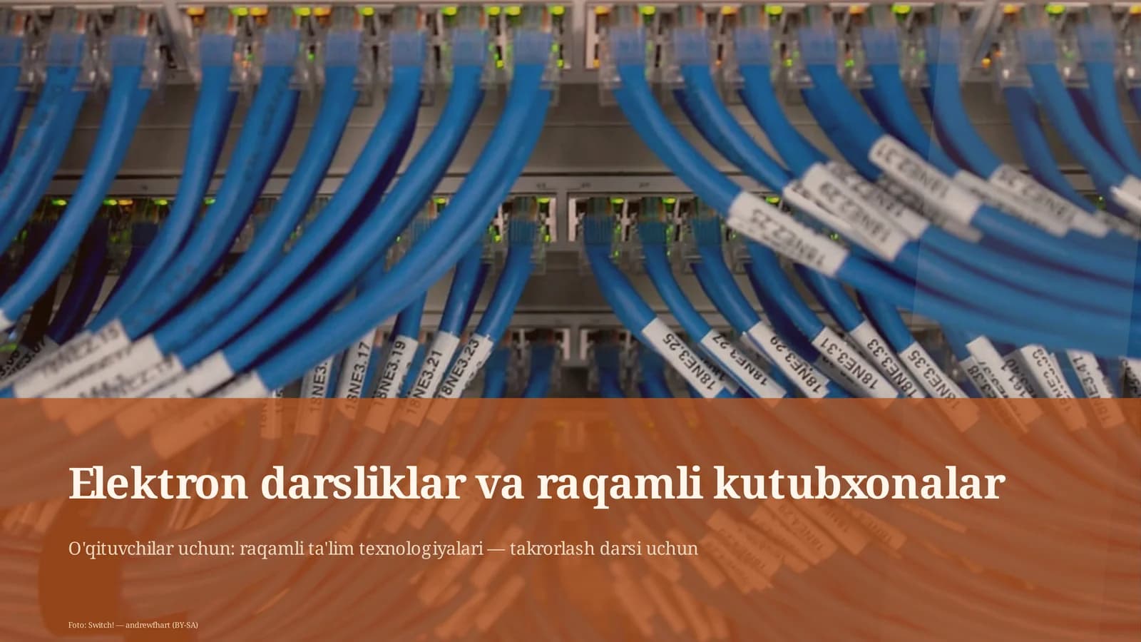 Elektron darsliklar va raqamli kutubxonalar