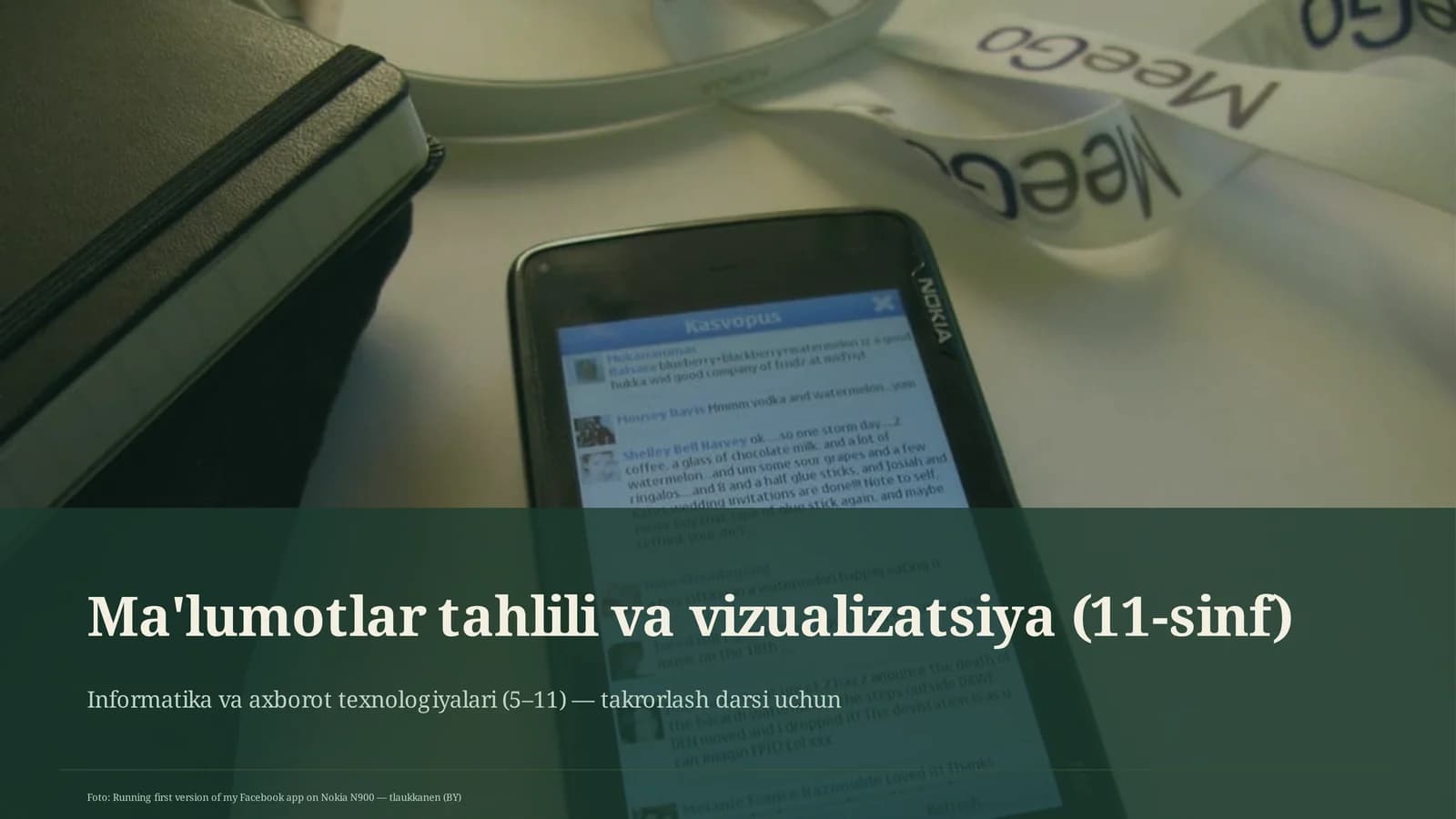 Ma'lumotlar tahlili va vizualizatsiya (11-sinf)
