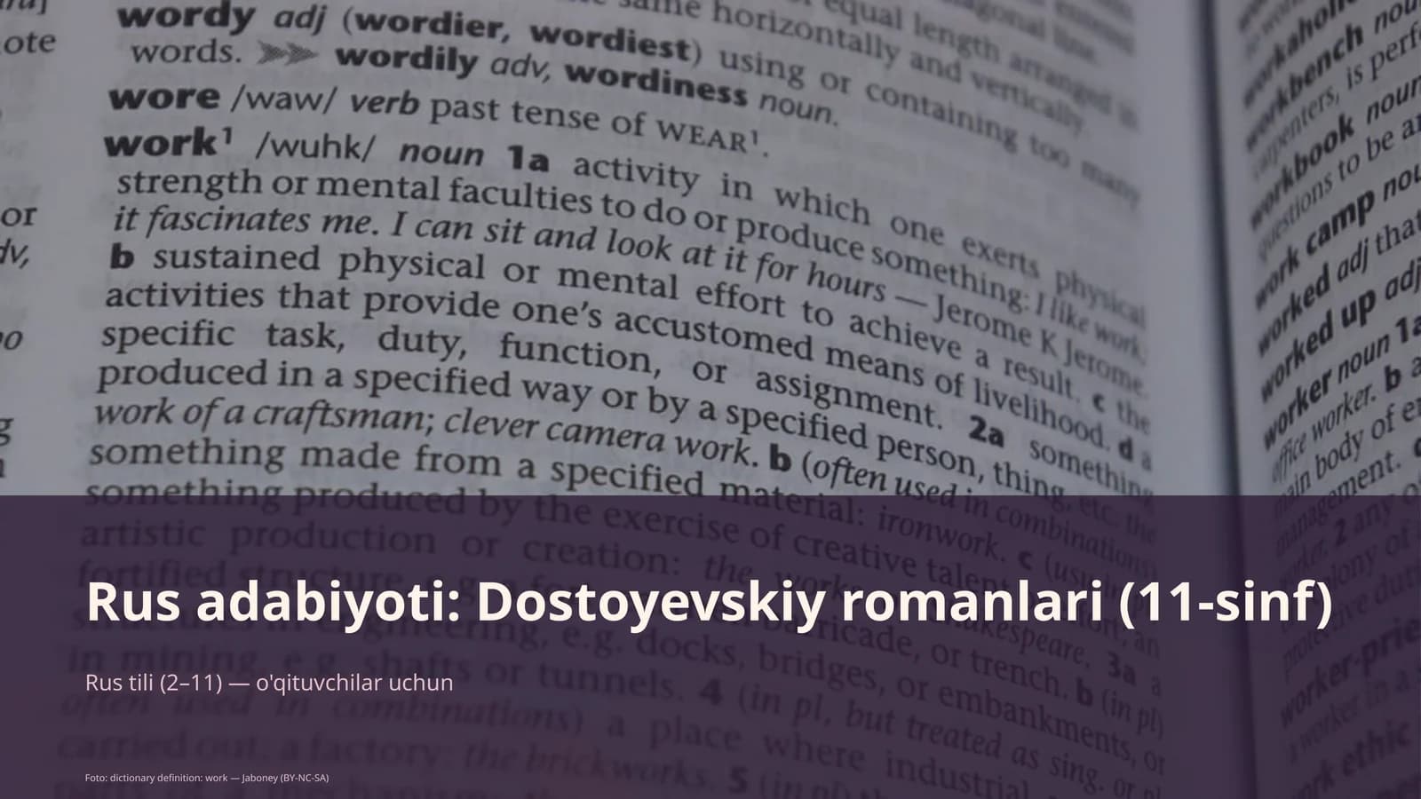 Rus adabiyoti: Dostoyevskiy romanlari (11-sinf)