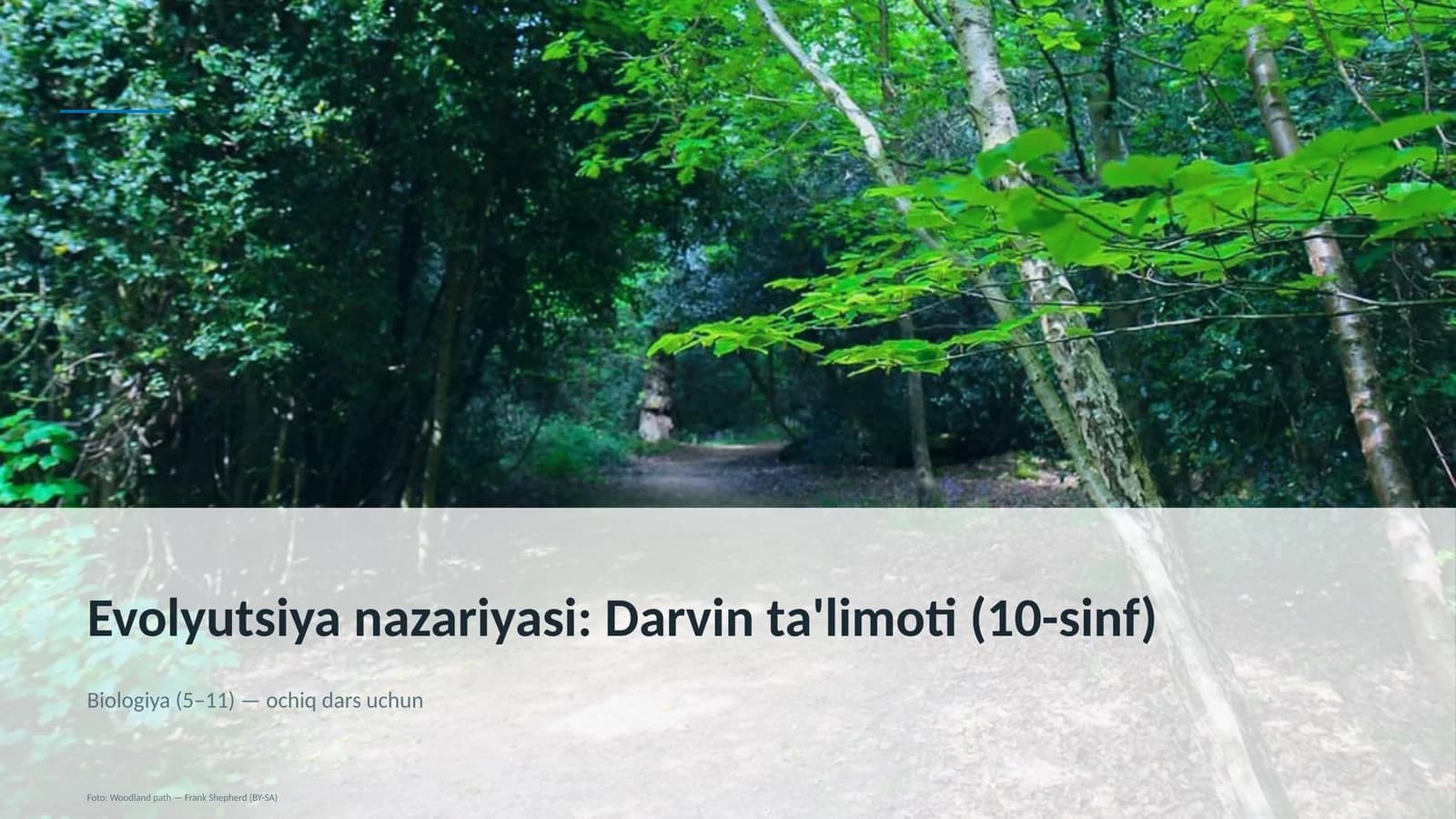 Evolyutsiya nazariyasi: Darvin ta'limoti (10-sinf)