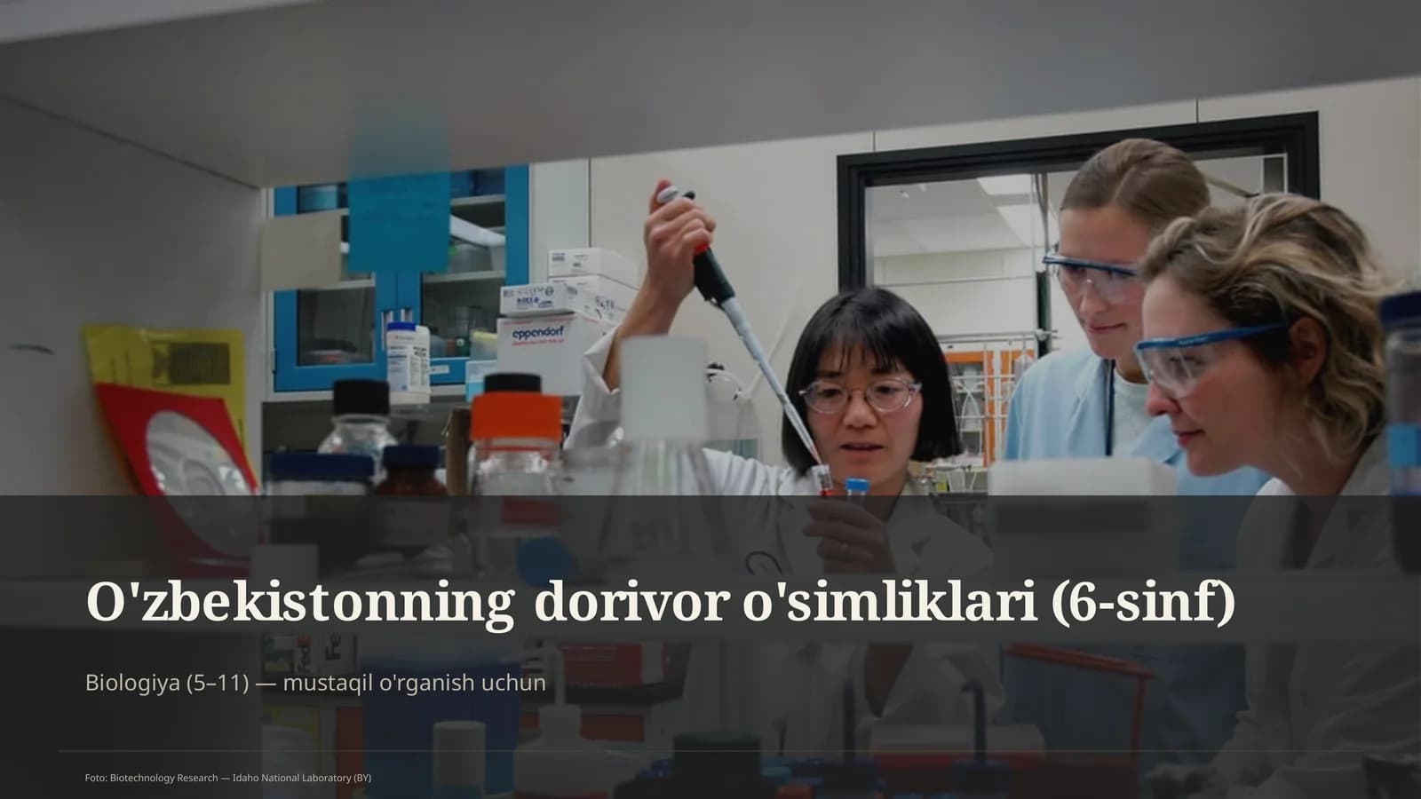 O'zbekistonning dorivor o'simliklari (6-sinf)