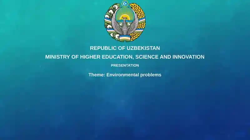 Environmental Problems Presentation
