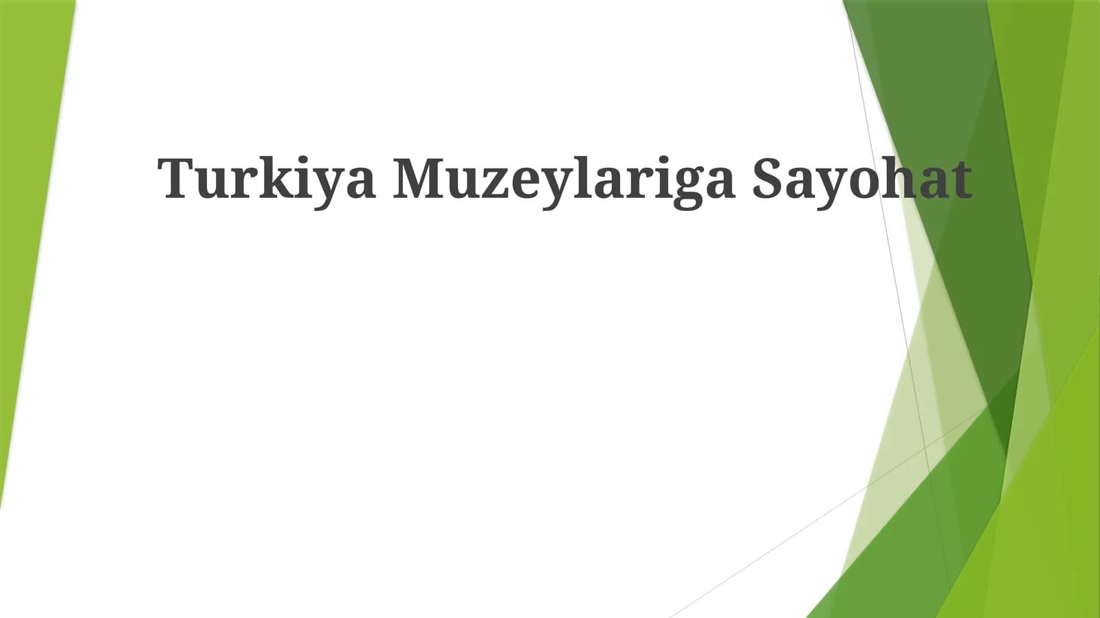 TurkiyaMuzeylarigaSayohat