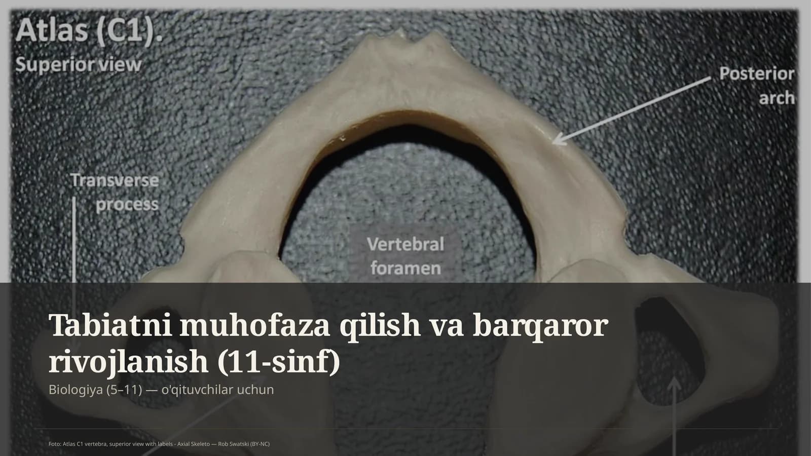 Tabiatni muhofaza qilish va barqaror rivojlanish (11-sinf)