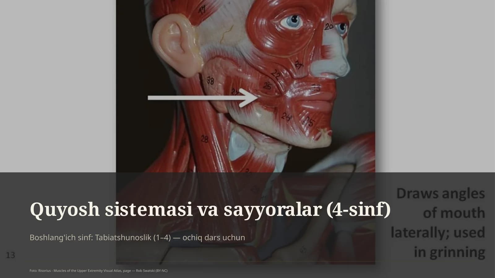 Quyosh sistemasi va sayyoralar (4-sinf)