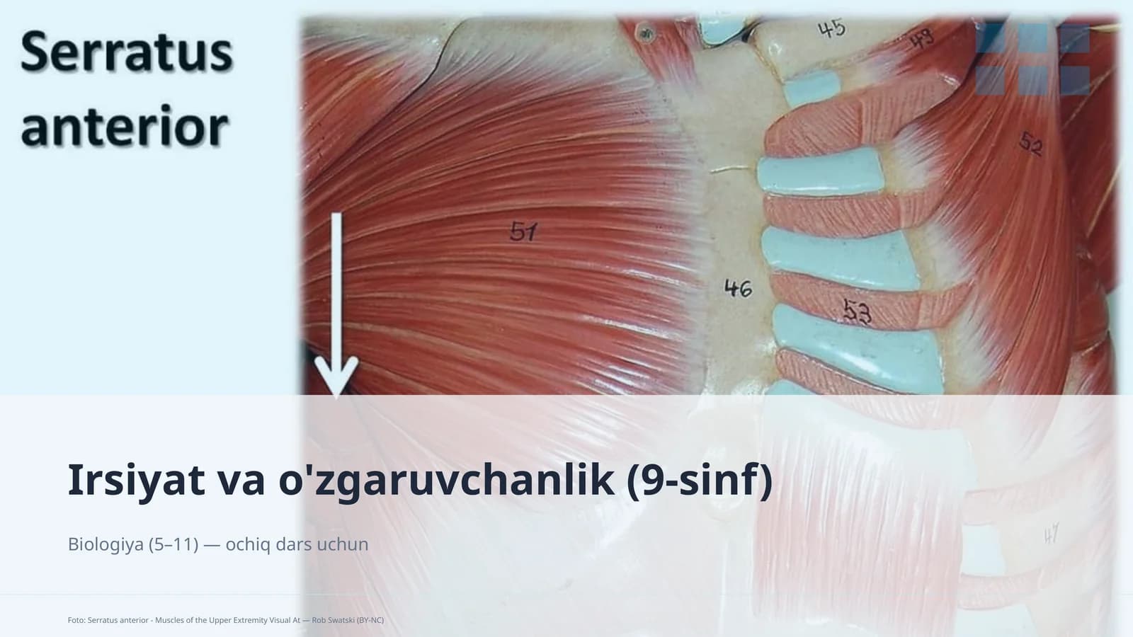 Irsiyat va o'zgaruvchanlik (9-sinf)