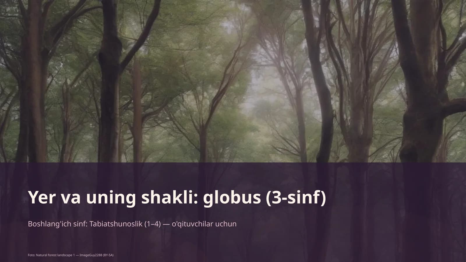 Yer va uning shakli: globus (3-sinf)