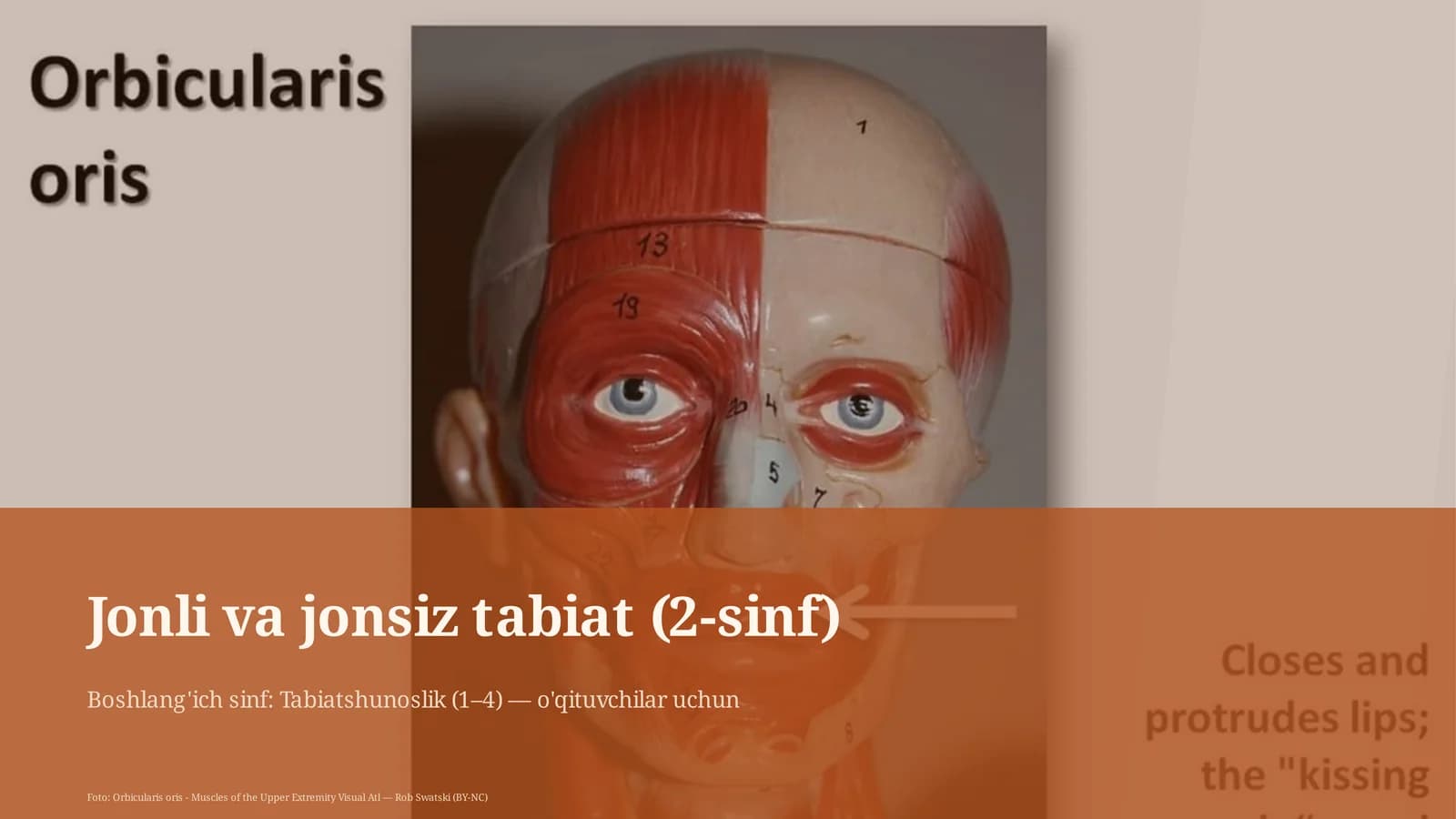 Jonli va jonsiz tabiat (2-sinf)