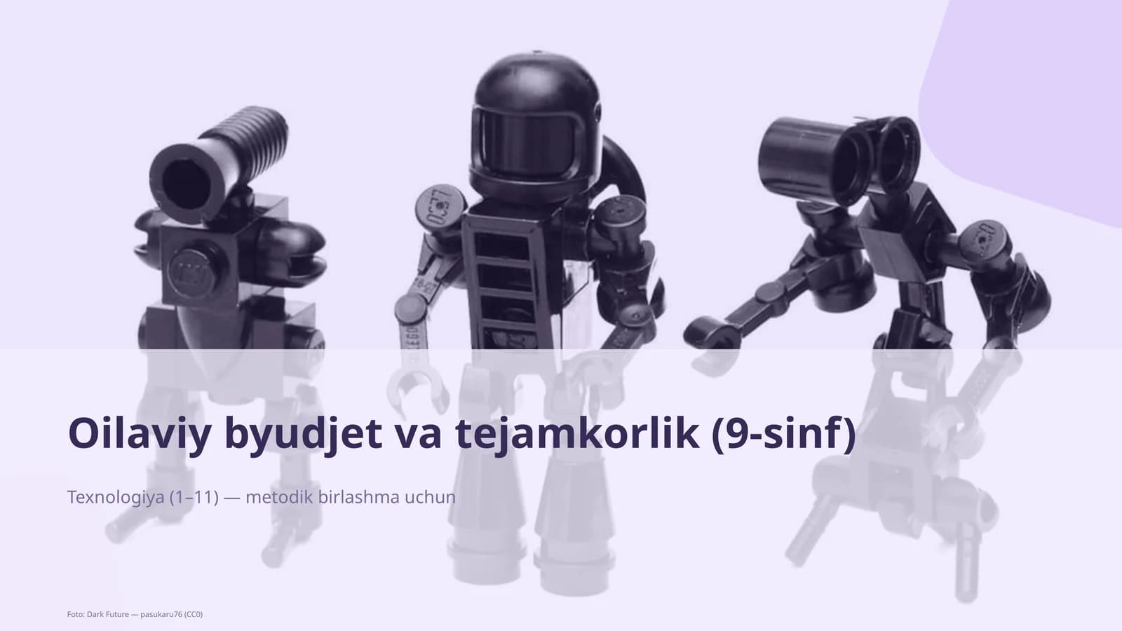 Oilaviy byudjet va tejamkorlik (9-sinf)