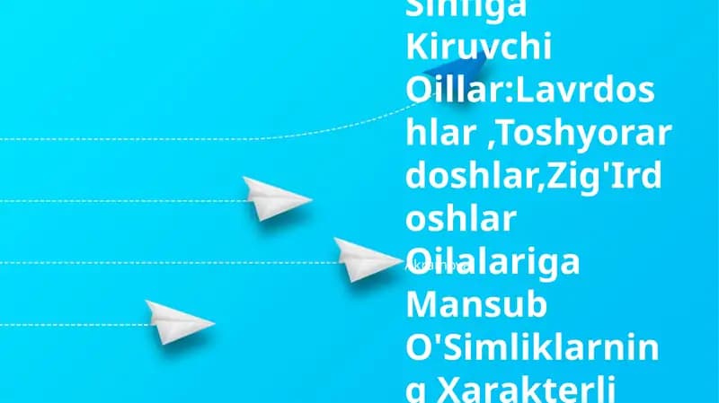 Ikki Urug'Pallali O'Simliklar