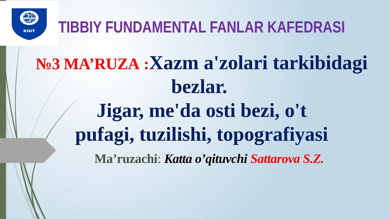 TIBBIY FUNDAMENTAL FANLAR KAFEDRASI№3 MA’RUZA:Xazma'zolaritarkibidagibеzlаr