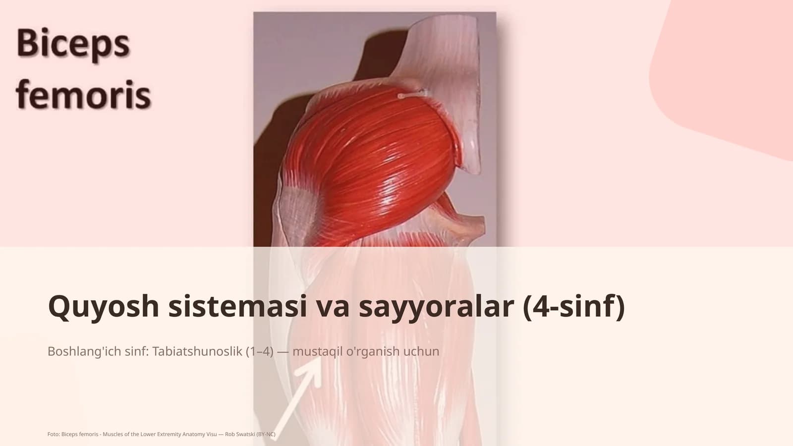 Quyosh sistemasi va sayyoralar (4-sinf)