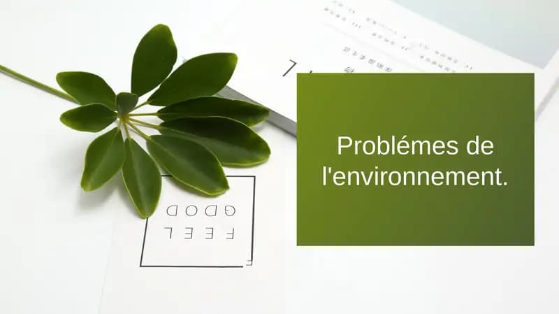 Problémes de l'environnement