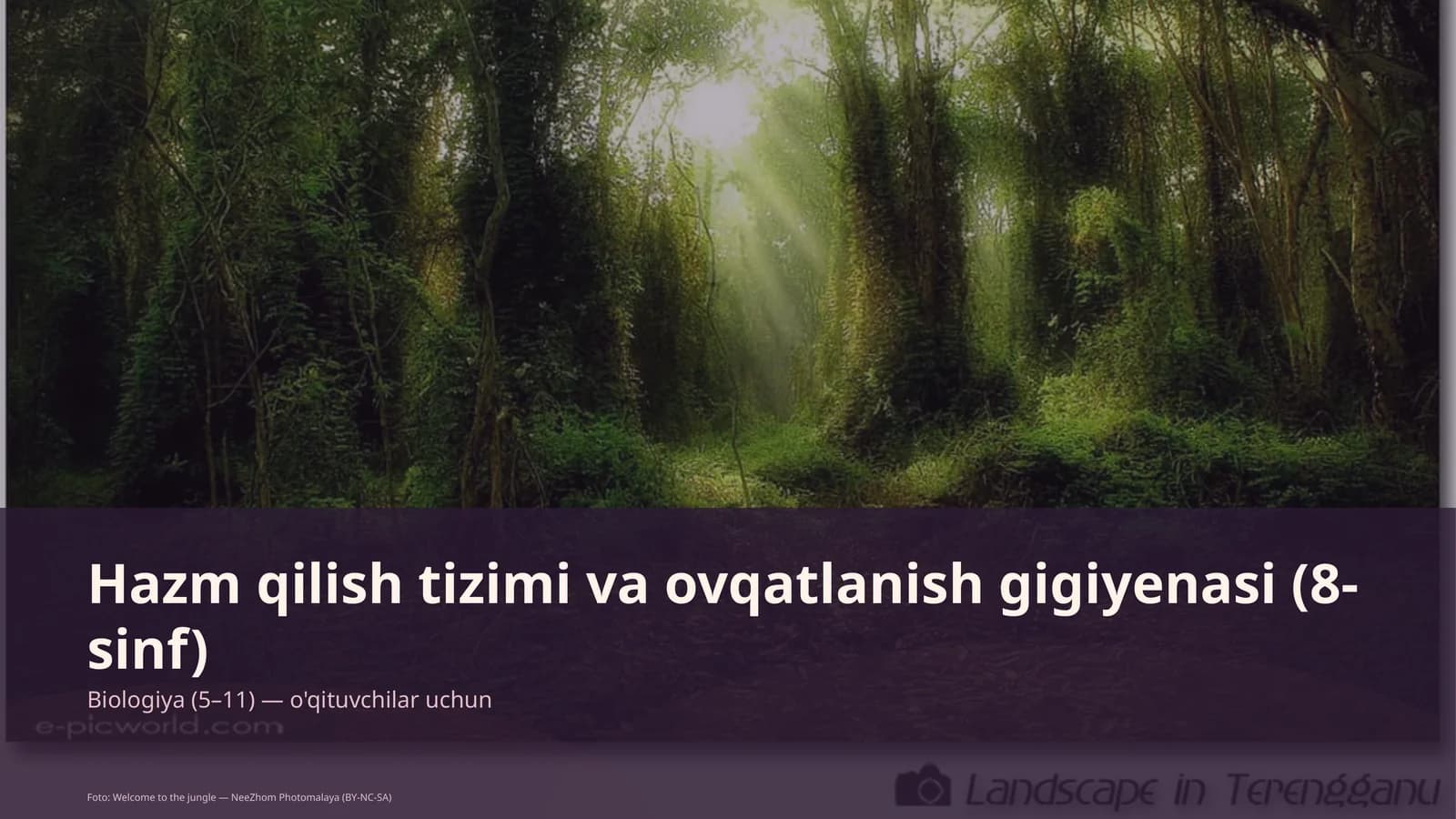 Hazm qilish tizimi va ovqatlanish gigiyenasi (8-sinf)
