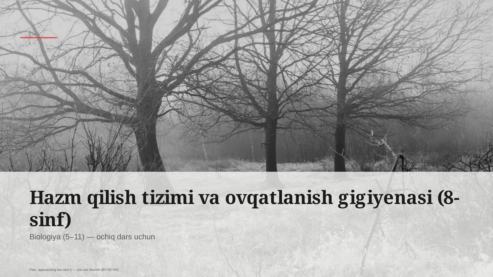 Hazm qilish tizimi va ovqatlanish gigiyenasi (8-sinf)