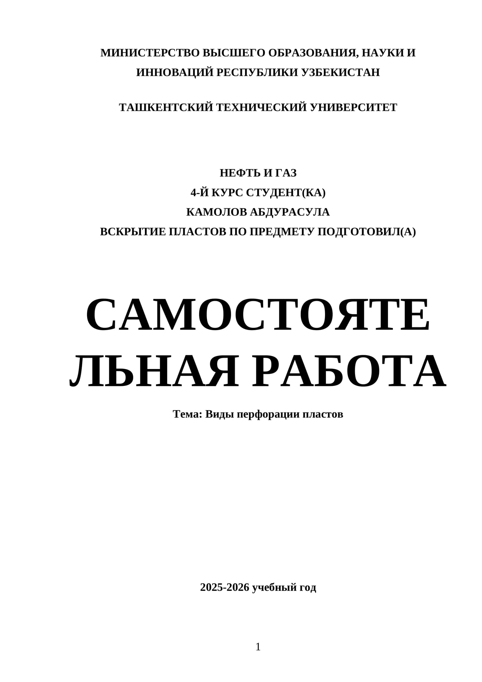 Виды перфорации пластов