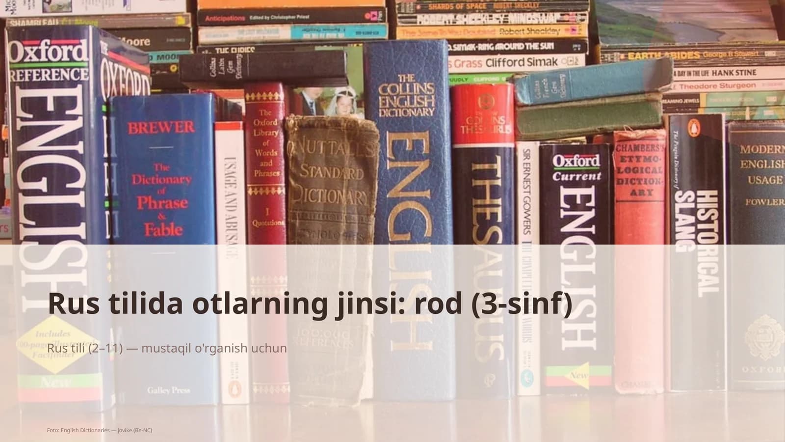 Rus tilida otlarning jinsi: rod (3-sinf)