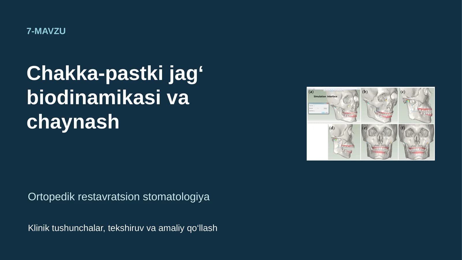 Chakka-pastki jag‘ biodinamikasi va chaynash