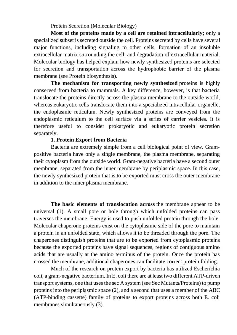 Protein Secretion (Molecular Biology)