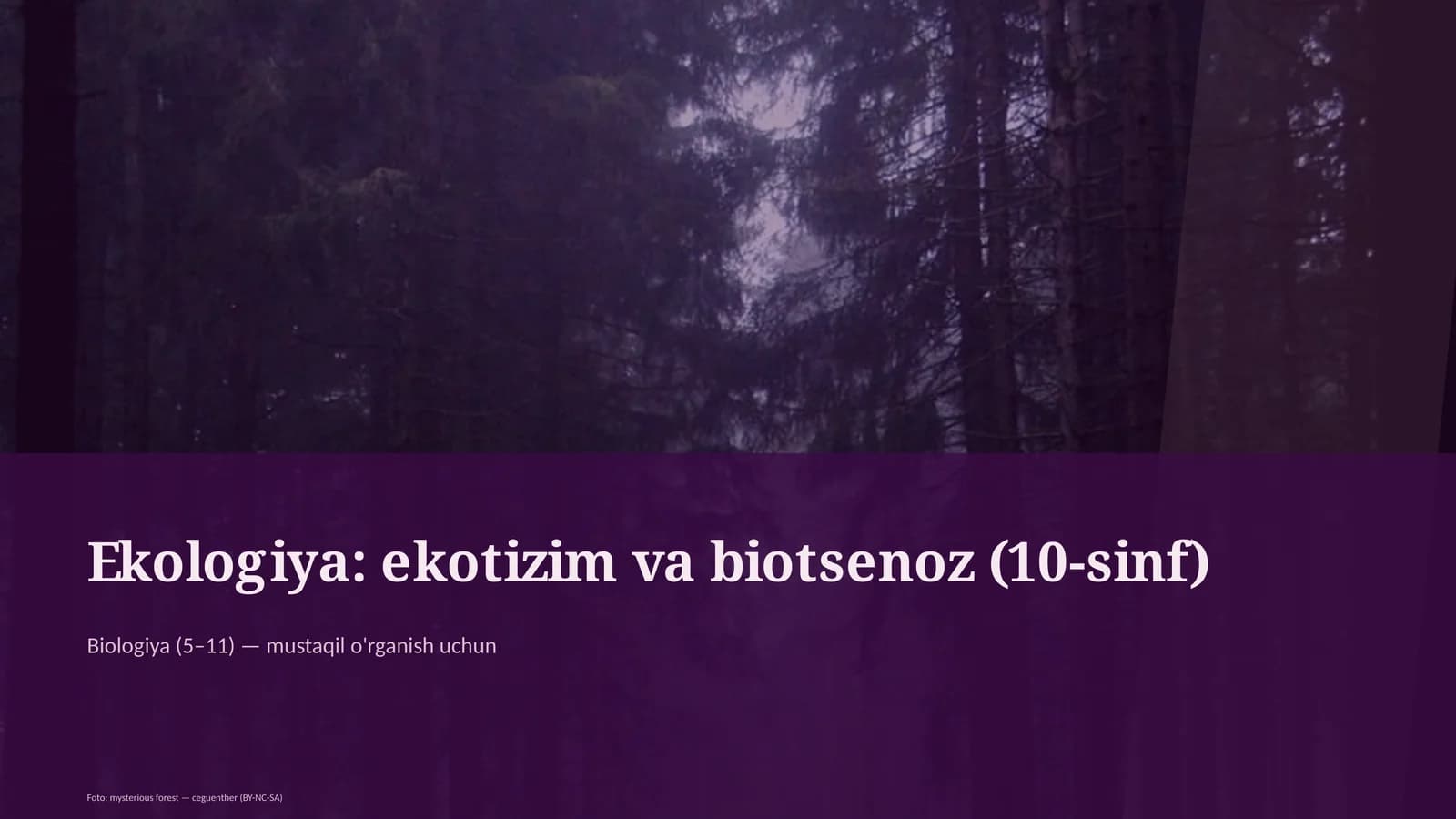 Ekologiya: ekotizim va biotsenoz (10-sinf)