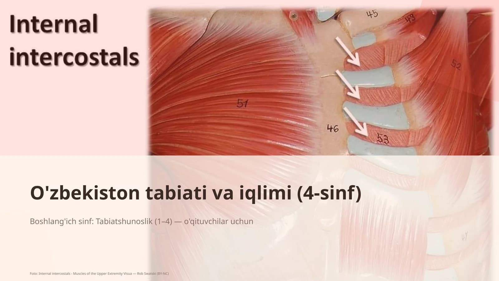 O'zbekiston tabiati va iqlimi (4-sinf)