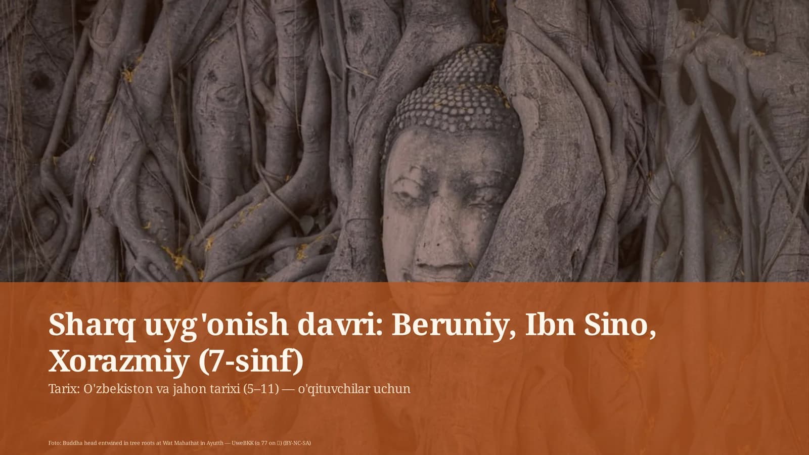 Sharq uyg'onish davri: Beruniy, Ibn Sino, Xorazmiy (7-sinf)