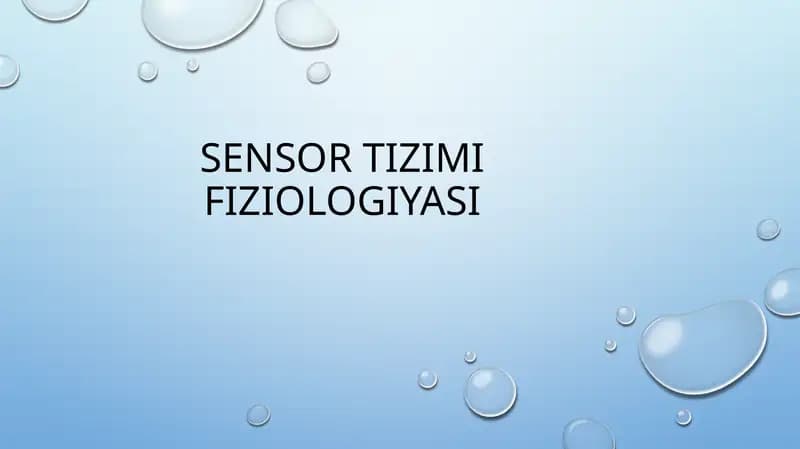 SENSOR TIZIMI FIZIOLOGIYASI