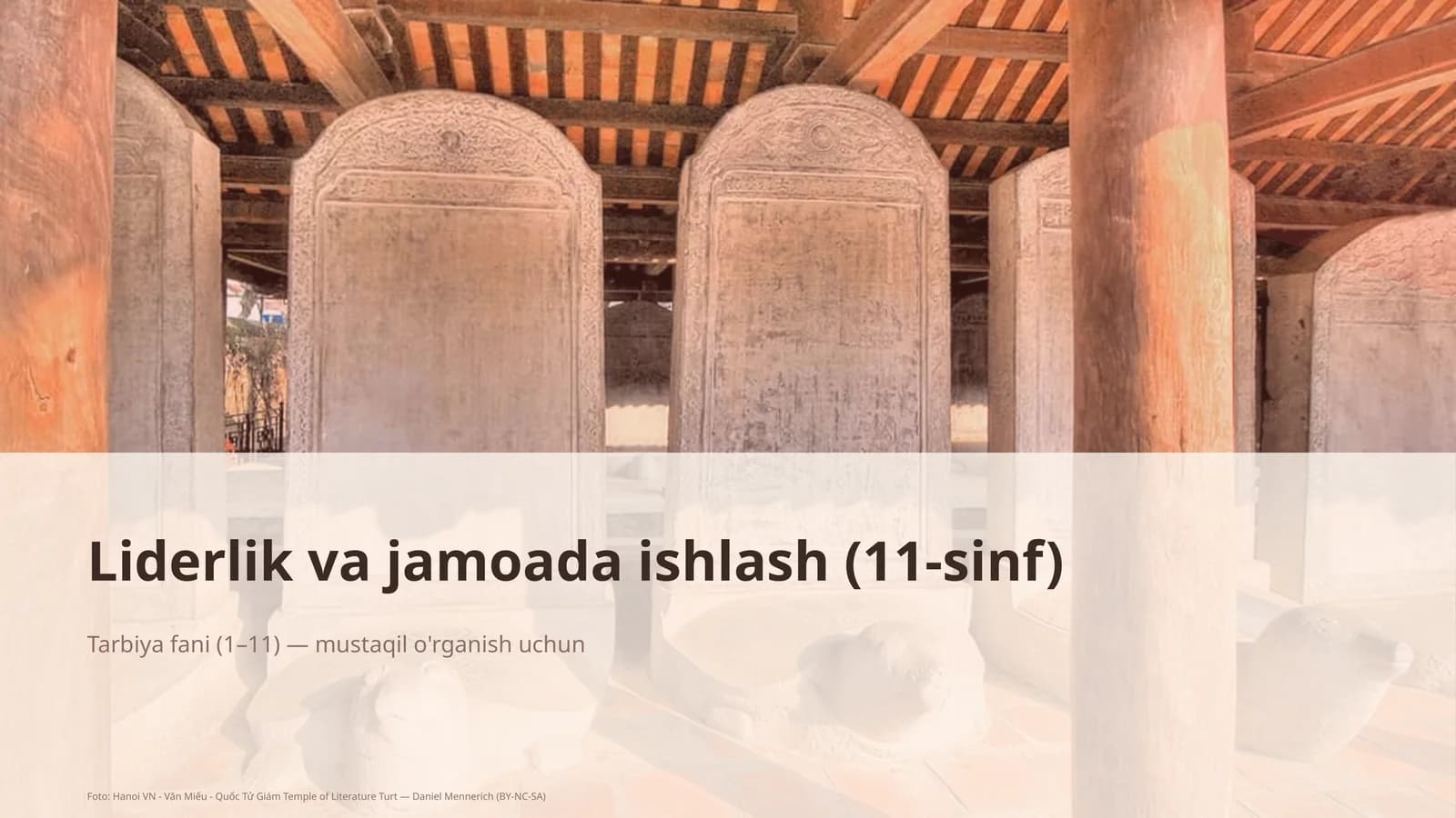 Liderlik va jamoada ishlash (11-sinf)