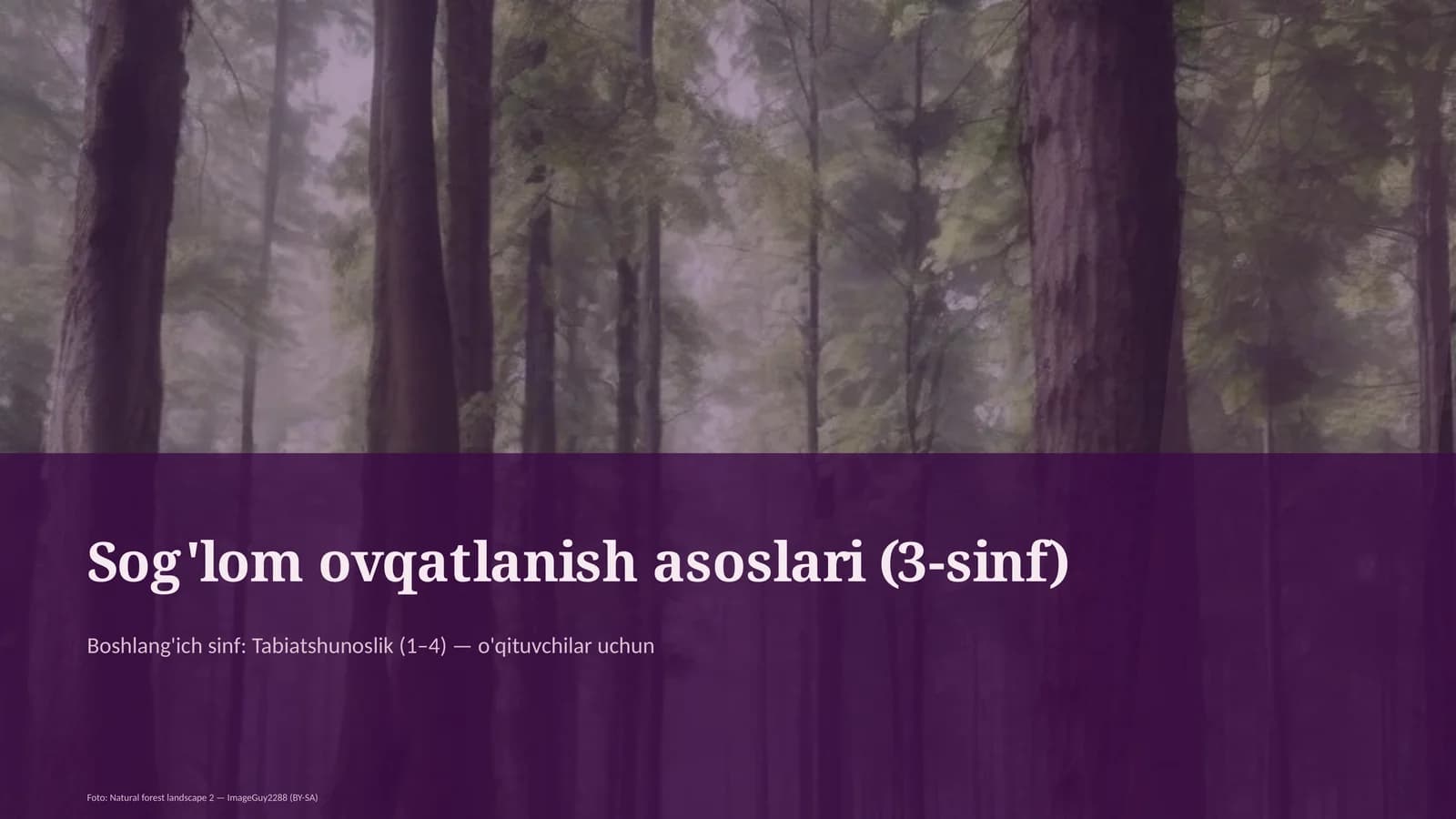 Sog'lom ovqatlanish asoslari (3-sinf)