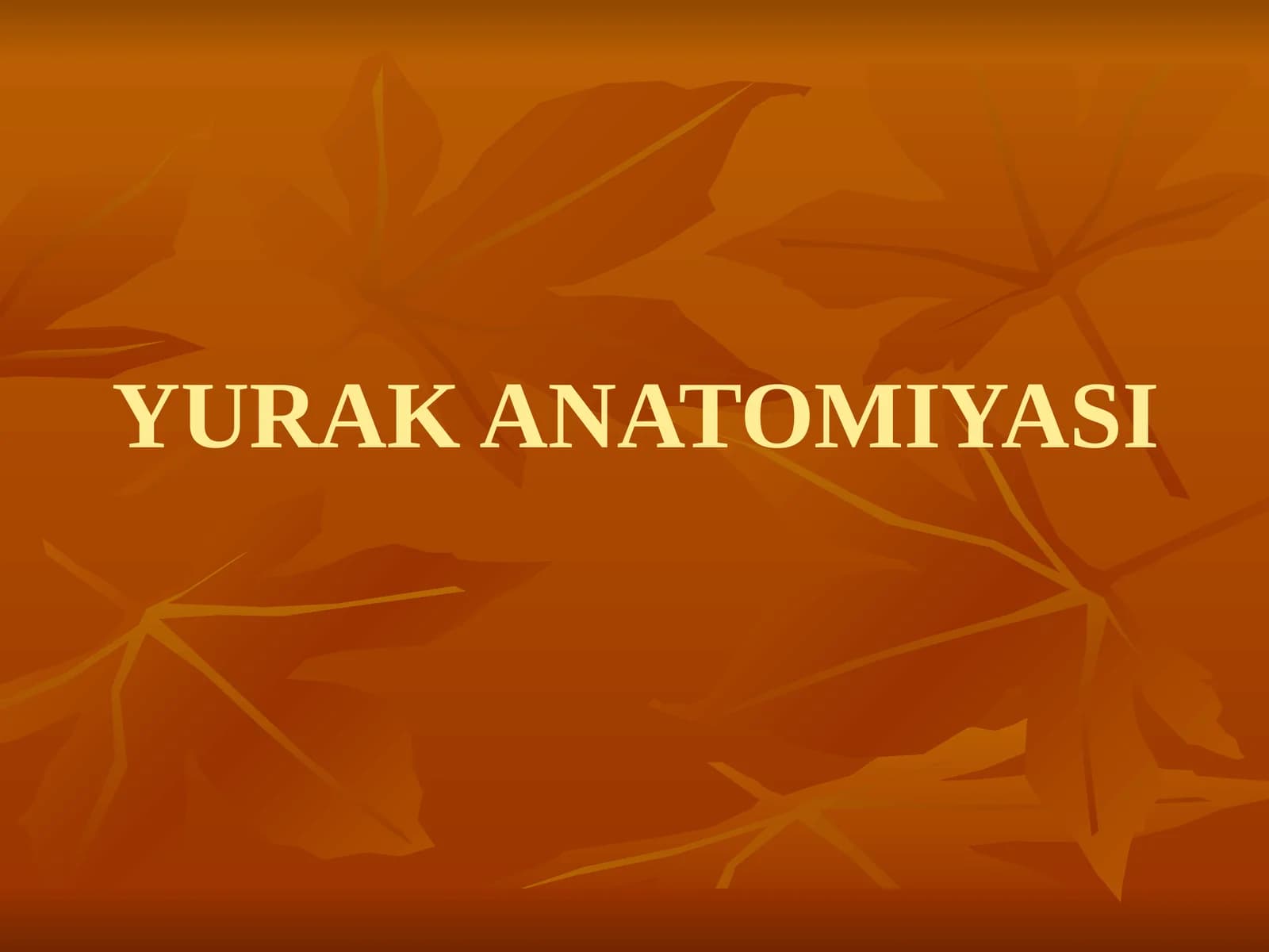 YURAK ANATOMIYASI