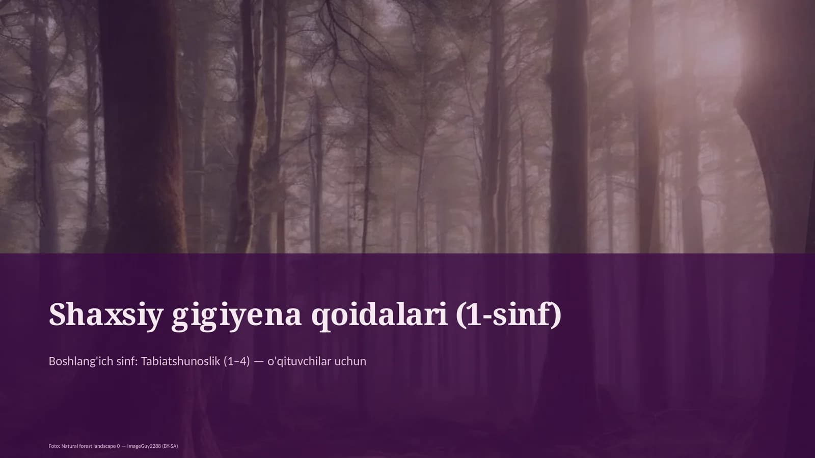 Shaxsiy gigiyena qoidalari (1-sinf)