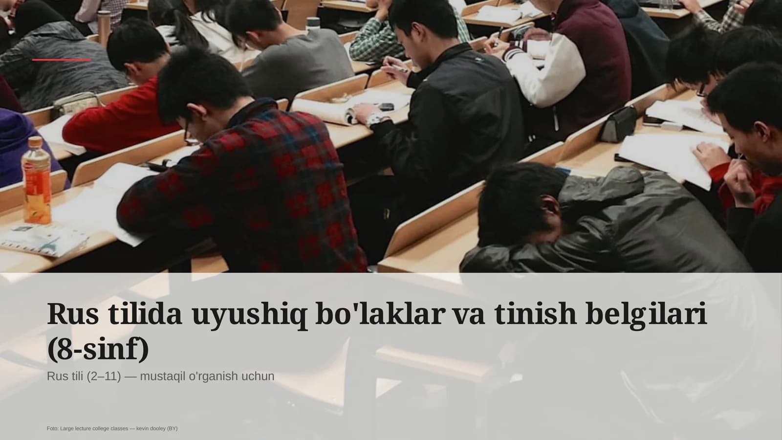 Rus tilida uyushiq bo'laklar va tinish belgilari (8-sinf)
