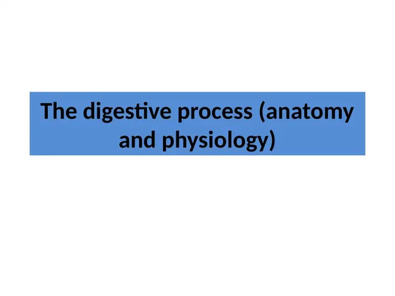 The digestive process (anatomy and physiology)