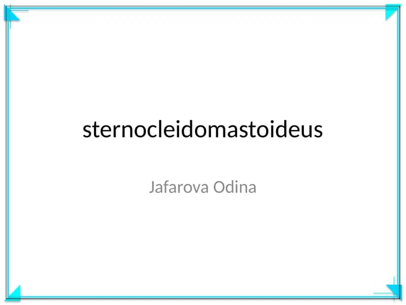 sternocleidomastoideus