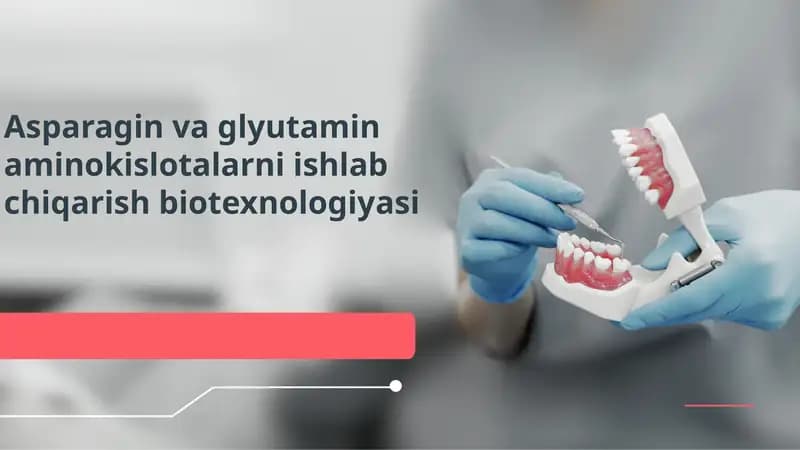 Asparagin va glyutamin aminokislotalarni ishlab chiqarish biotexnologiyasi