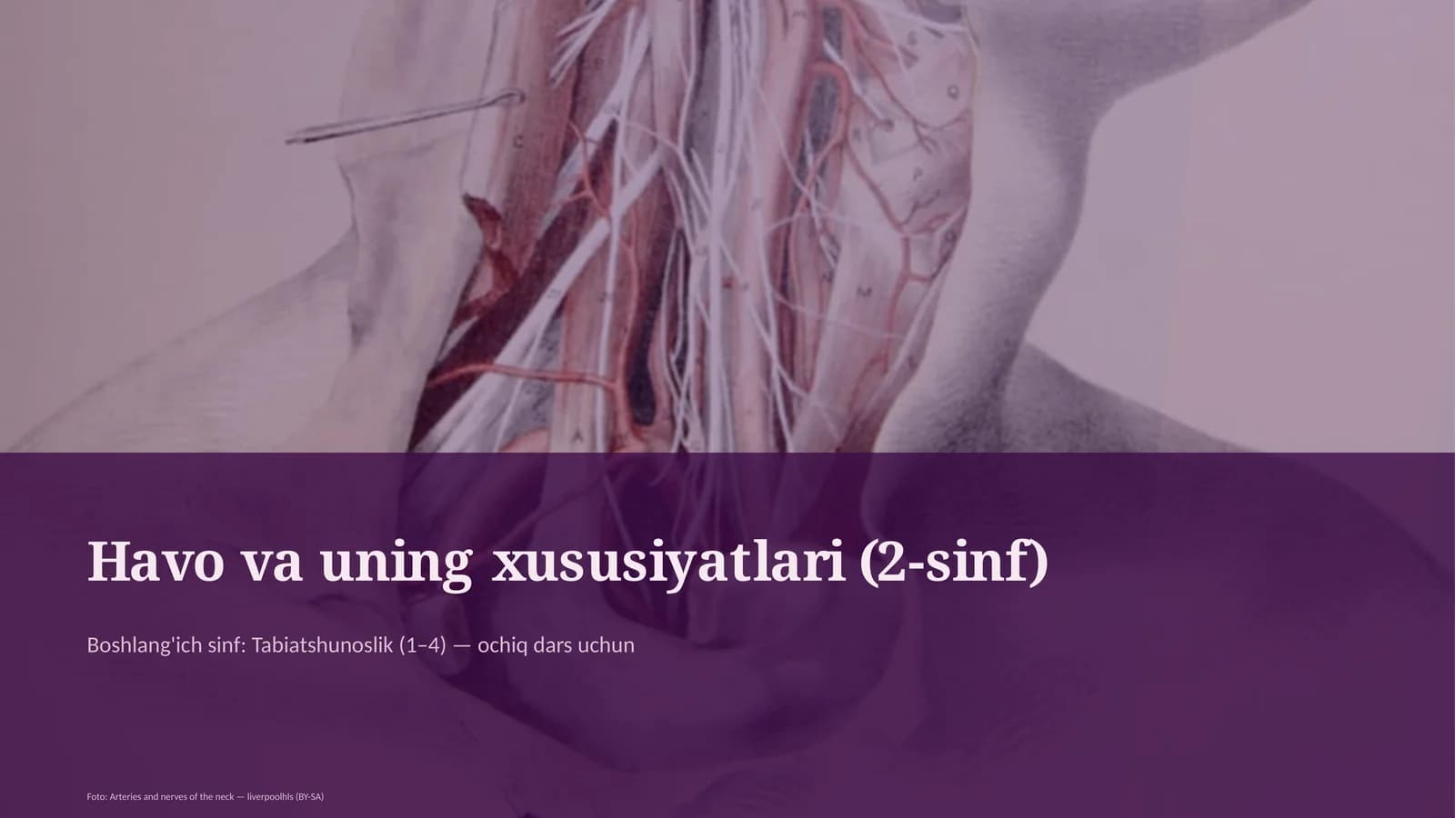 Havo va uning xususiyatlari (2-sinf)