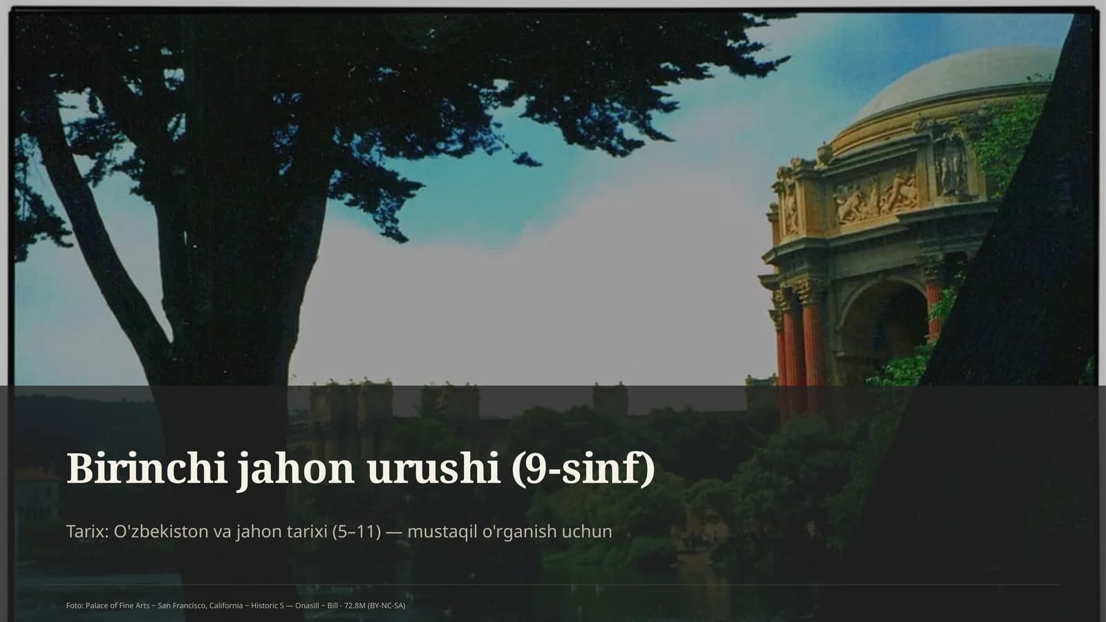 Birinchi jahon urushi (9-sinf)