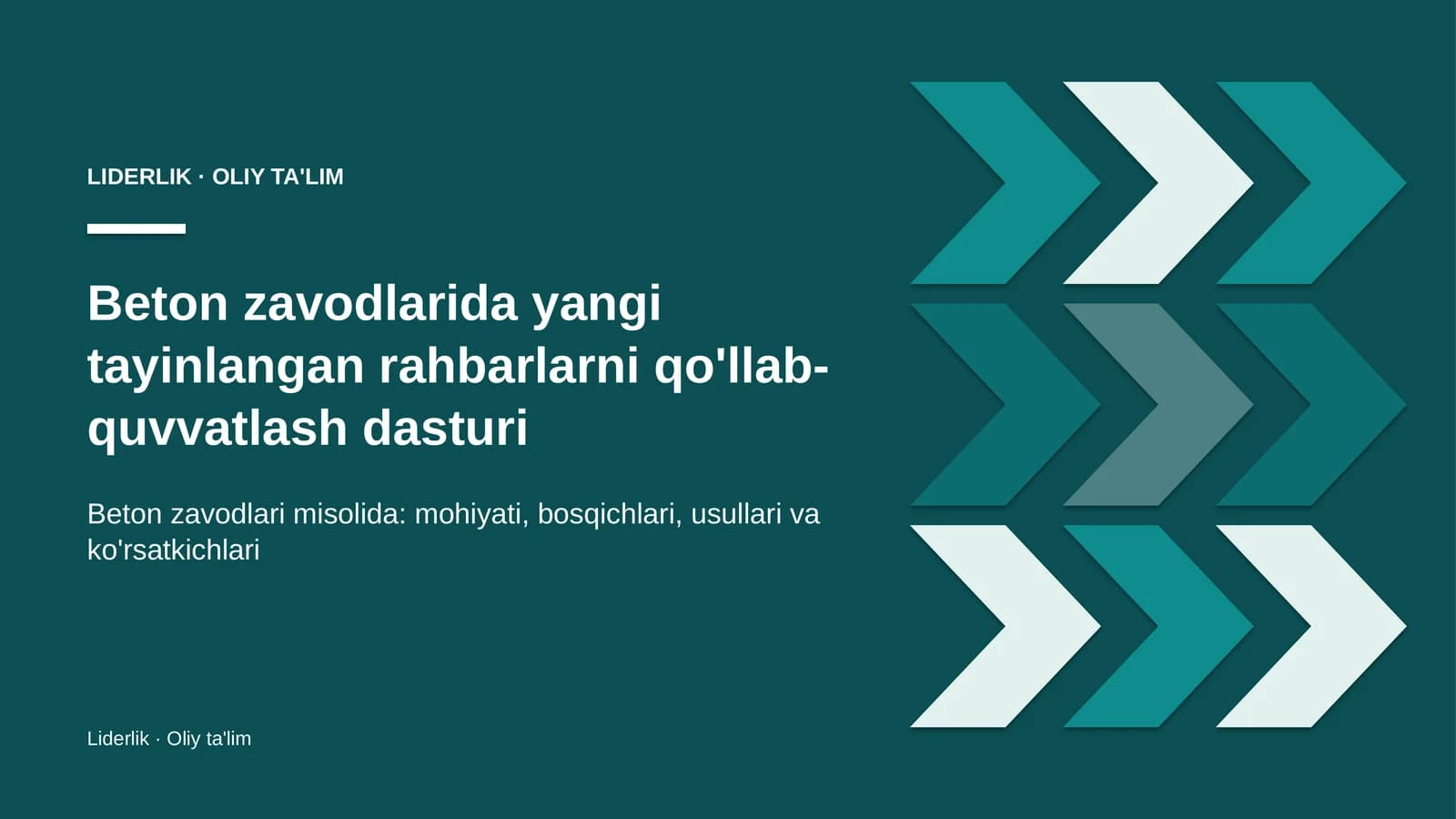 Yangi rahbarlarni qo'llab-quvvatlash dasturi: mohiyati