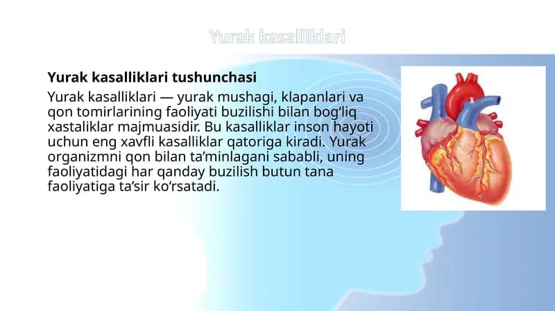 Yurak kasalliklari