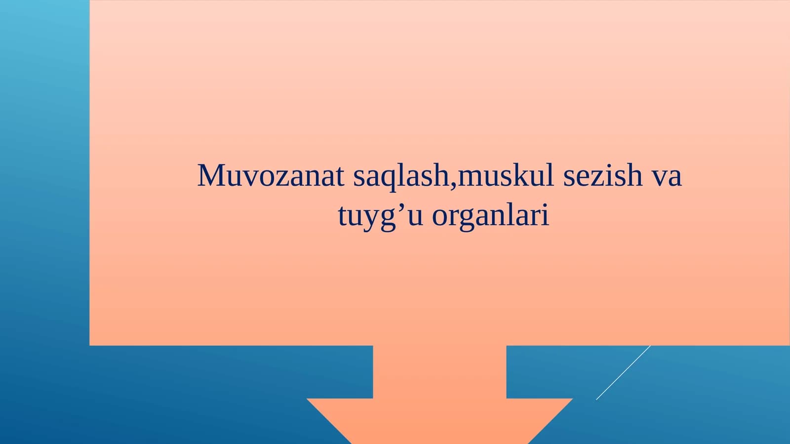Eshitish organlarining tuzilishi