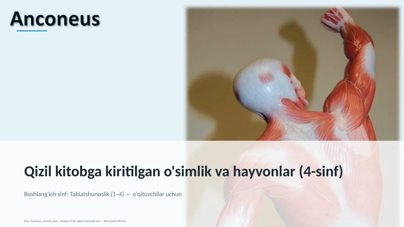 Qizil kitobga kiritilgan o'simlik va hayvonlar (4-sinf)