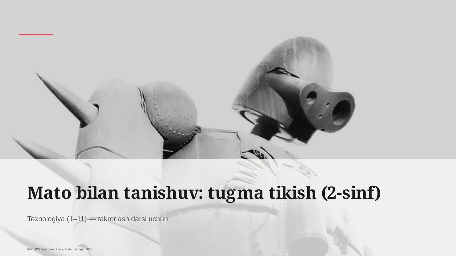 Mato bilan tanishuv: tugma tikish (2-sinf)